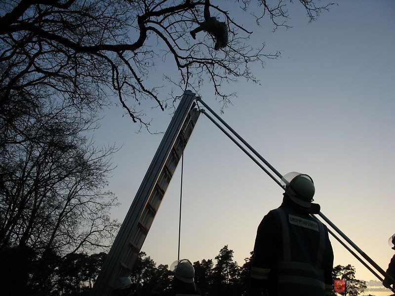 Bild 18 von 28 Ein Kind wurde in einen Baum geschleudert.