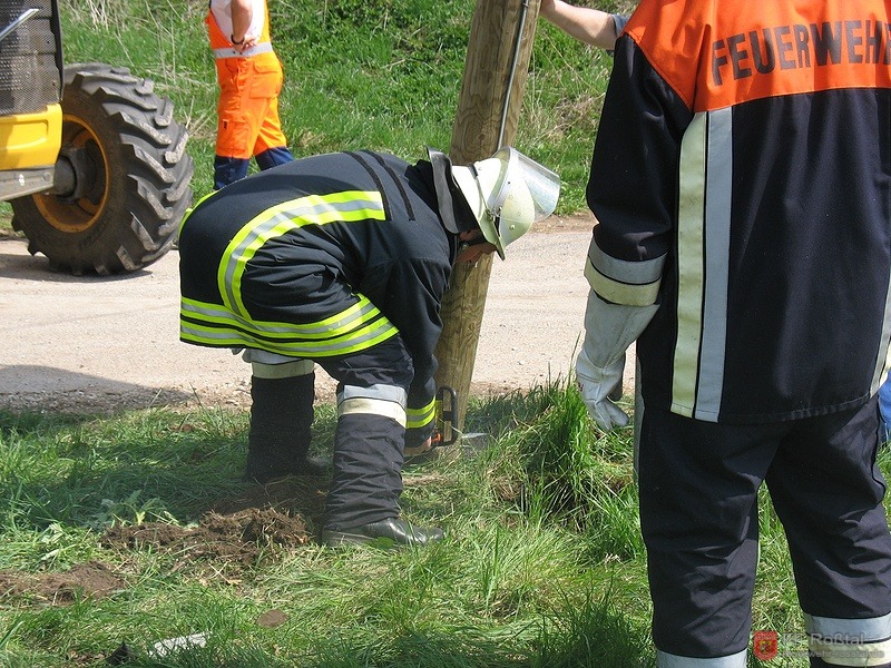 Bild 2 von 7 Abs&auml;gen des Mastes mittels Motors&auml;ge