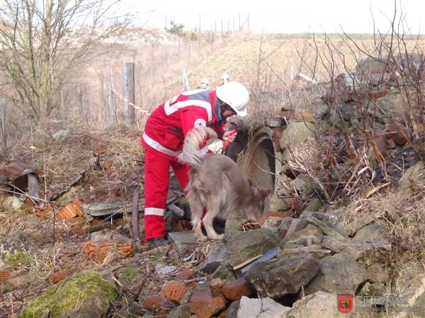 Bild 3 von 25 Eine weitere Person wurde aufgespürt. Bild 3 von 25 Eine weitere Person wurde aufgespürt.